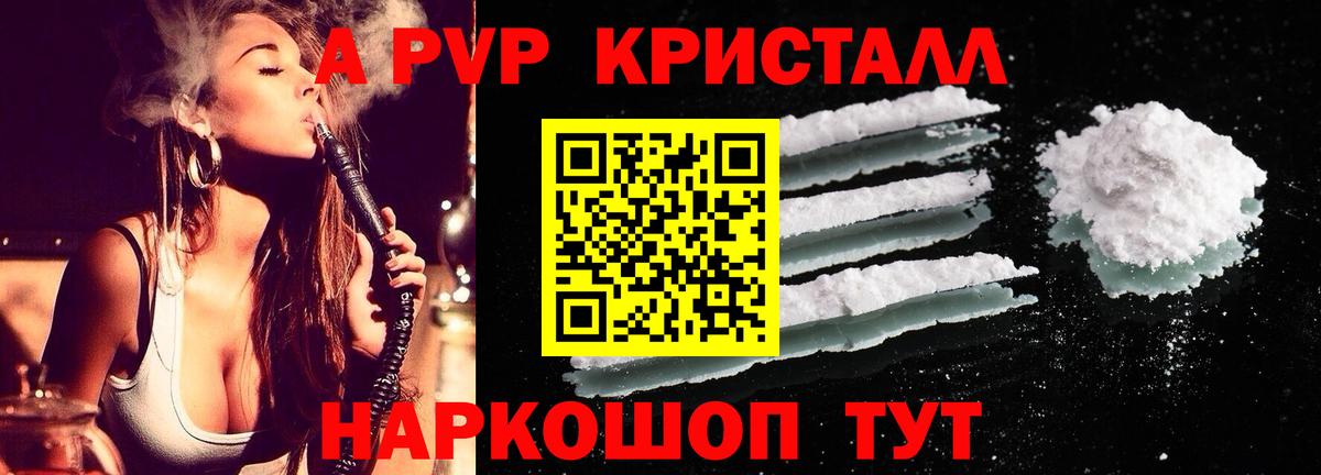 Alfa_PVP СК КРИС Асино