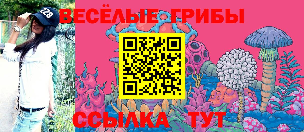 Асино  Псилоцибиновые грибы мухоморы  Вход с VPN 